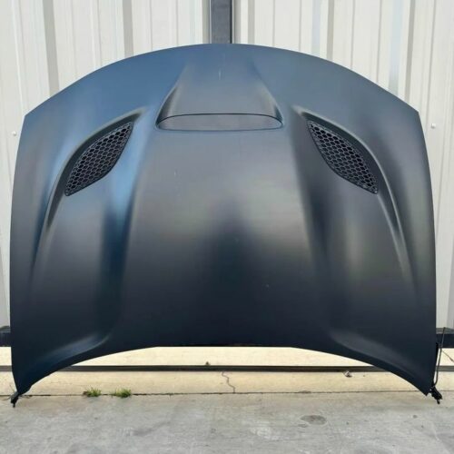 15-23 DODGE CHARGER HELLCAT HOOD